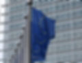 EU Authorized Representative