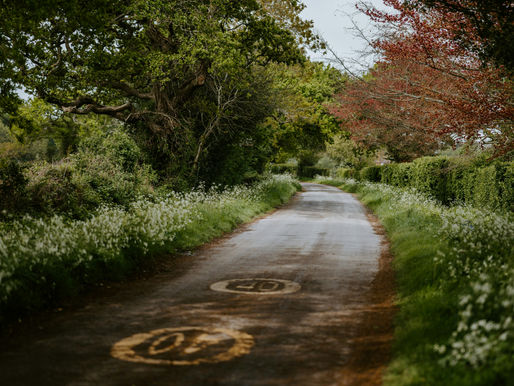 Glade Ecology Ecology Survey Taunton