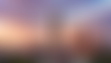 Taiwan’s Silicon Shield, The Thinnest of Shields