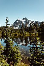 Image by Nathan Dumlao