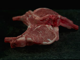 Ganado de engorda en corral antes de embarque para venta