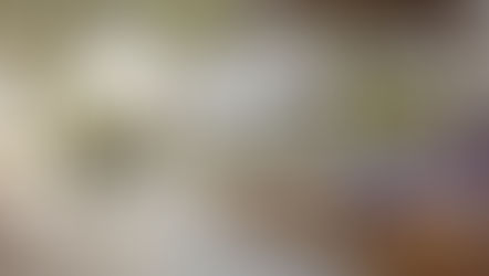  The Pros and Cons of Light vs. Dark Composite Decking Colours