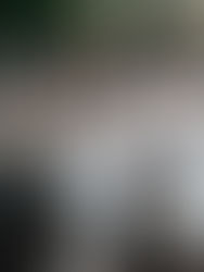 O QUE É SER UMA PESSOA DISCIPLINADA