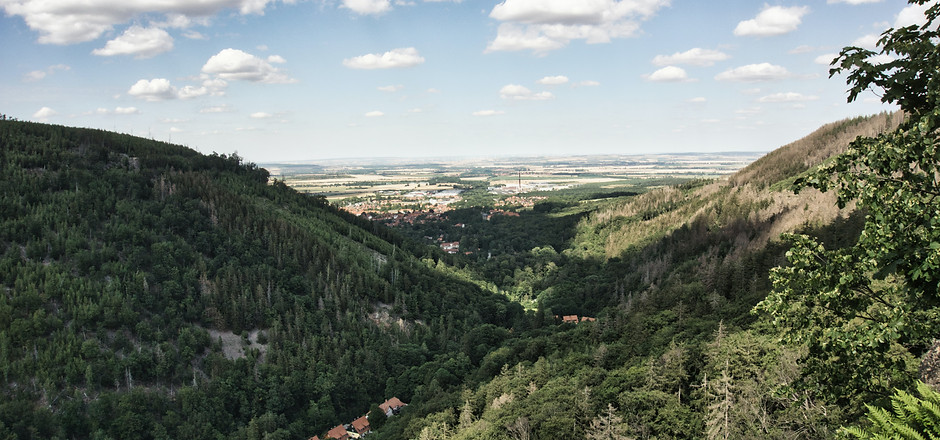Image by Johannes Schenk