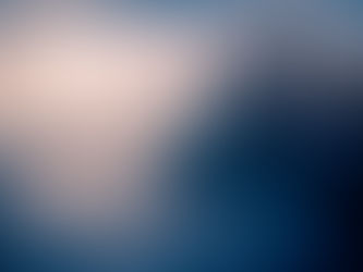Bare trees in a foggy landscape with a serene, bluish hue. The sky is overcast with wispy clouds, creating a calm, mysterious mood. | Gasilov Group