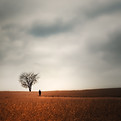 Image by Todd Trapani
