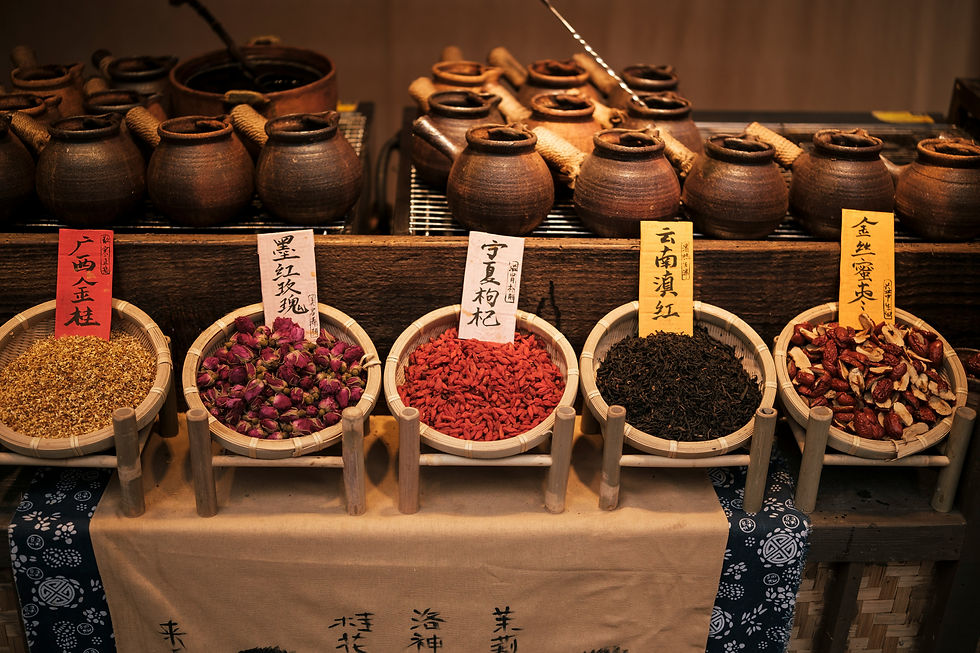 图片由阮文豪提供