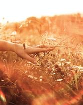 Image by Elia Pellegrini