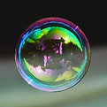 Bulles de Vivant