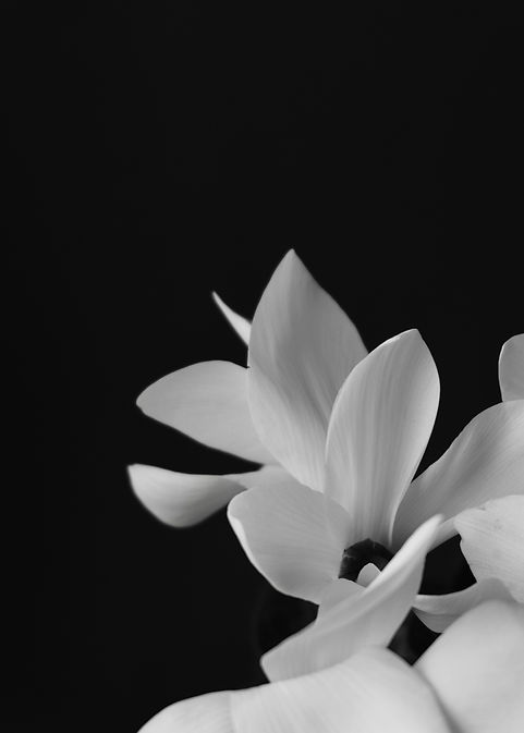 Image by J M