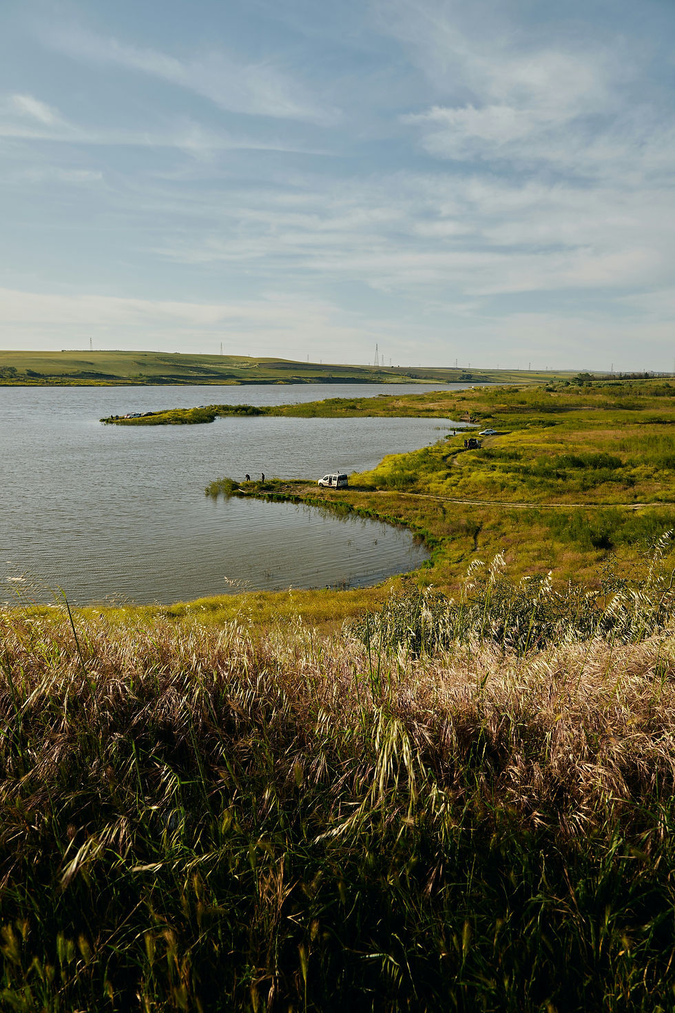 Image by meriç tuna