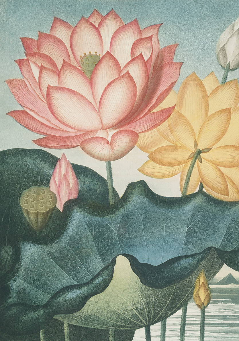 Image de The New York Public Library