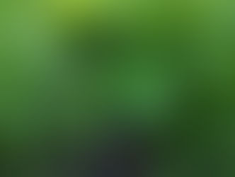 Close-up of vibrant green dill leaves with dew droplets, surrounded by more foliage. The setting is a lush garden, creating a fresh and natural mood.