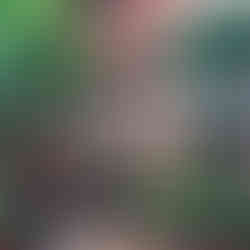 Une fontaine murale apporte de la fraicheur dans un jardin