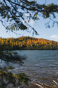 Image by Gustavo Tiffer