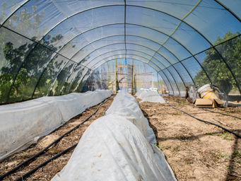 How does your garden Grow? Vol 2