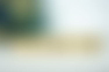 Blocks with letters on them spelling Creation