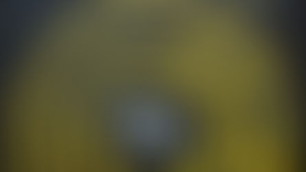 And So I Chose To Begin Again