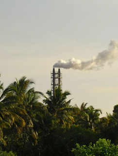 Governo ajusta meta de biometano e estabelece transição gradual para 2026
