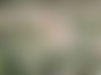 2021.5.16 ヨハネの黙示録13 章1~10 節