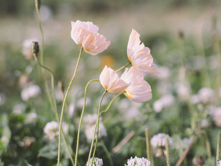 2021.5.16 ヨハネの黙示録13 章1~10 節