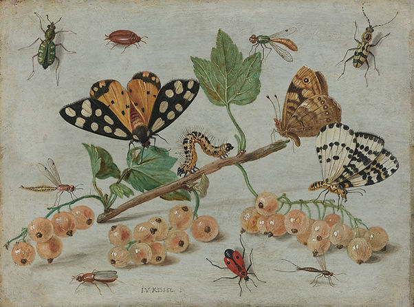 Image by Europeana