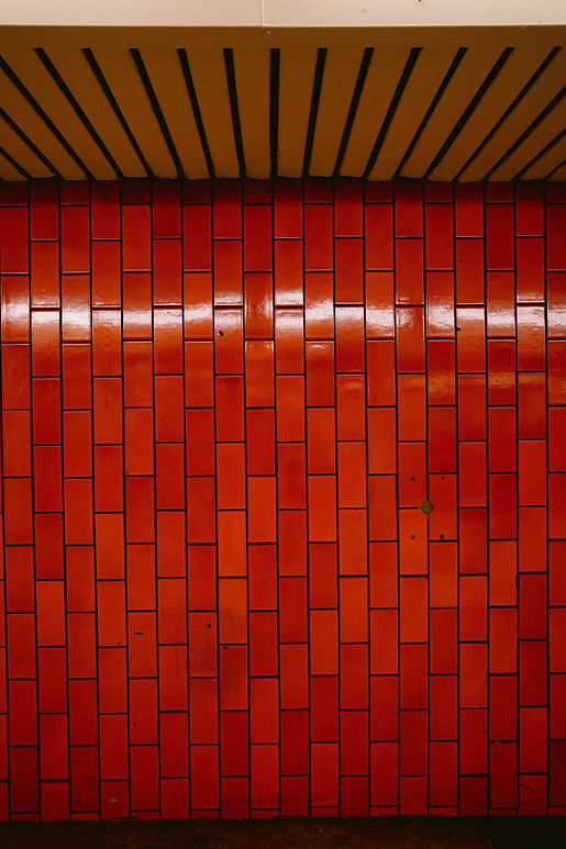 Image by Polina Rytova