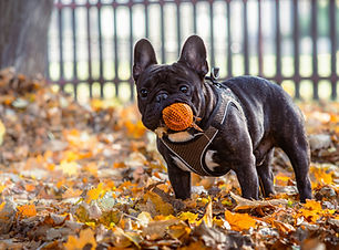 Image by Mikhail Mamaev