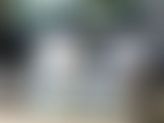 Two guinea pigs inside a small rusted wire cage with minimal bedding