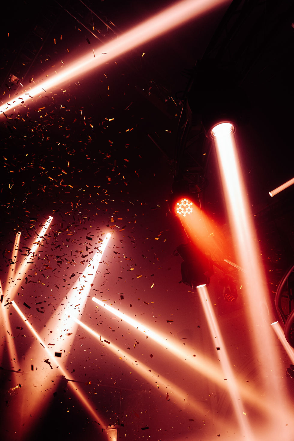 Image by Jonas Jaeken
