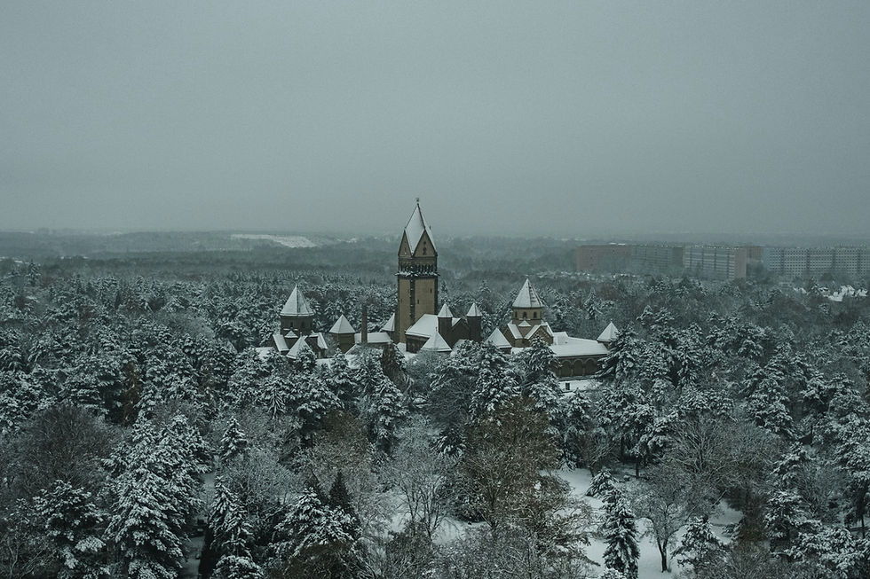 Image by Nico Knaack