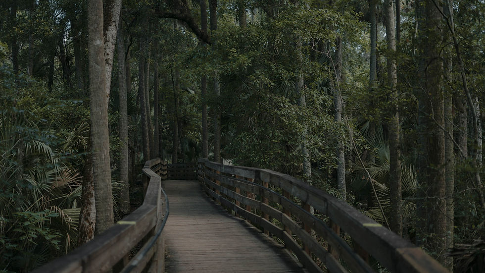 Image by Tyler Martoia