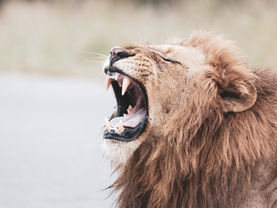 Operar com exchanges nacionais pode gerar economia no Imposto de Renda