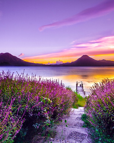 Image by Mark Harpur