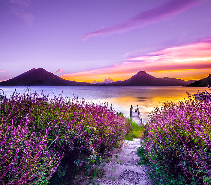 Image by Mark Harpur