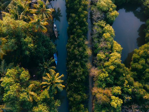 Image de Anantha Krishnan