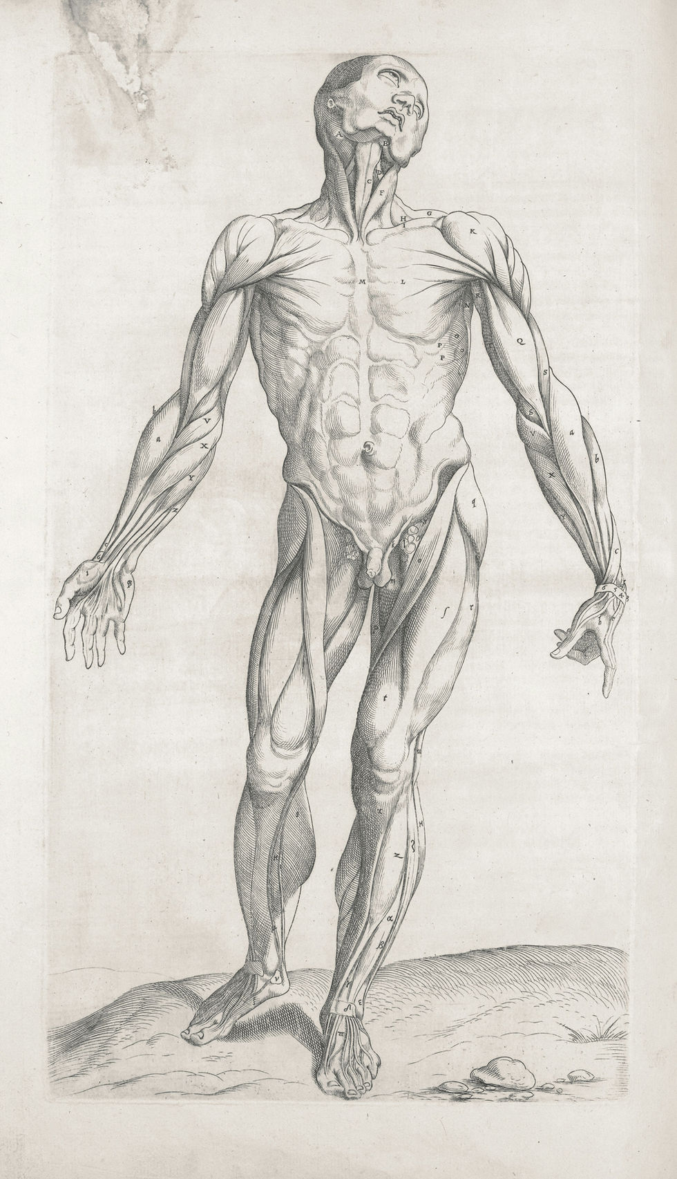 Image by The New York Public Library