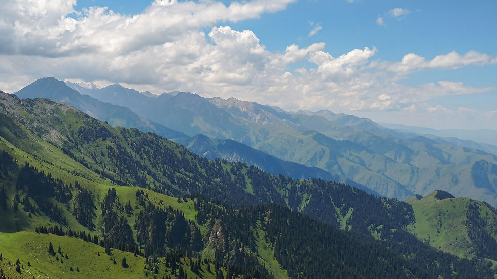Image by Bekarys Khozhanazar