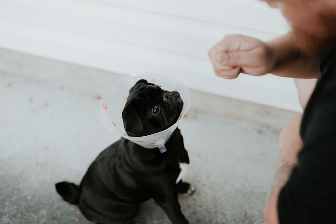 Image by Priscilla Du Preez