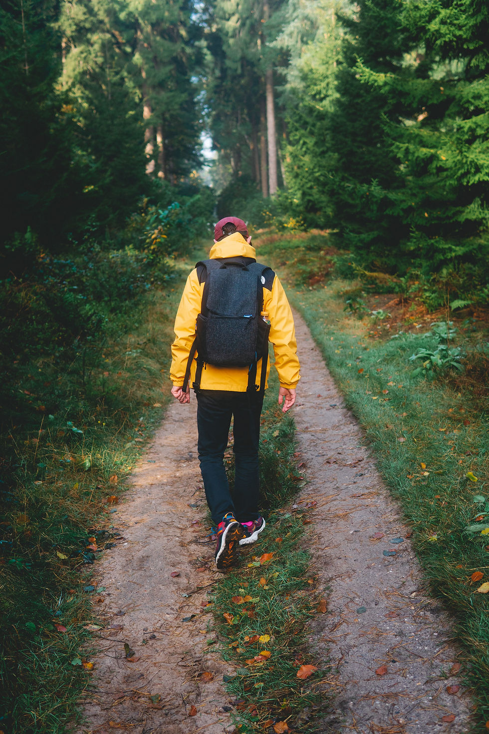 trekker nel bosco vestito north face