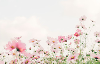 Image by TOMOKO UJI