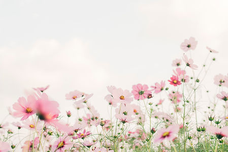 Image by TOMOKO UJI