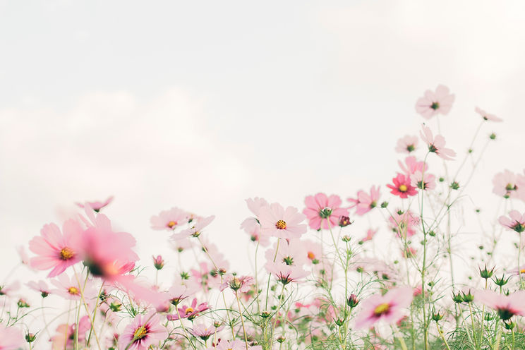 Image by TOMOKO UJI