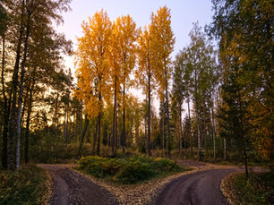 Should I stay or should i go? Sweden or Home?