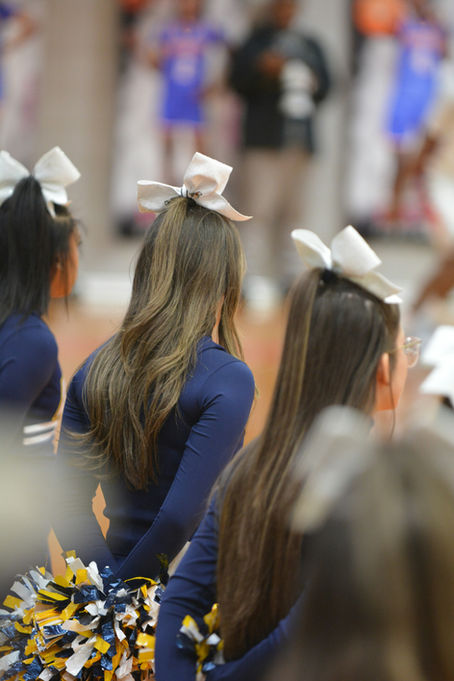 Issues With Title IX: Why Cheerleading Isn't Properly Recognized