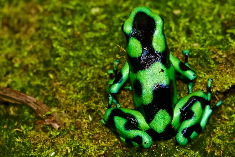 Image by James Wainscoat