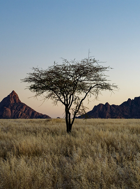 Image by Colin Watts