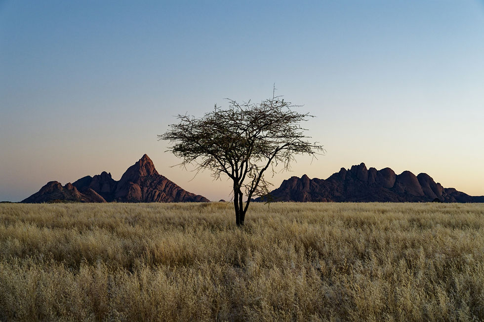 Image by Colin Watts