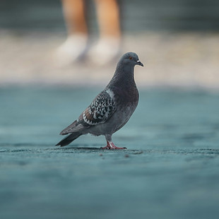 Image by Omar Ramadan