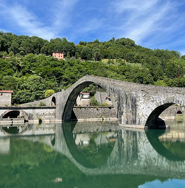 Image by Paolo Diomede